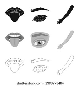 Isolated object of body and part sign. Set of body and anatomy stock vector illustration.