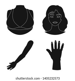 Isolated object of body and part sign. Set of body and anatomy stock vector illustration.