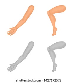Isolated object of body and part sign. Set of body and anatomy vector icon for stock.