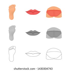 Isolated object of body and part sign. Collection of body and anatomy stock vector illustration.