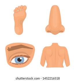 Isolated object of body and part sign. Collection of body and anatomy stock symbol for web.