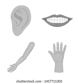 Isolated object of body and part sign. Collection of body and anatomy stock symbol for web.