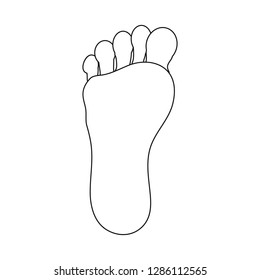Isolated object of body and part symbol. Set of body and anatomy stock vector illustration.