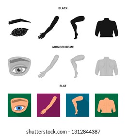 Isolated object of body and part symbol. Collection of body and anatomy vector icon for stock.