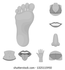 Isolated object of body and part symbol. Set of body and anatomy stock symbol for web.