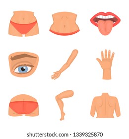 Isolated object of body and part symbol. Set of body and anatomy vector icon for stock.