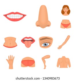 Isolated object of body and part symbol. Set of body and anatomy stock vector illustration.