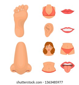 Isolated object of body and part symbol. Collection of body and anatomy stock symbol for web.
