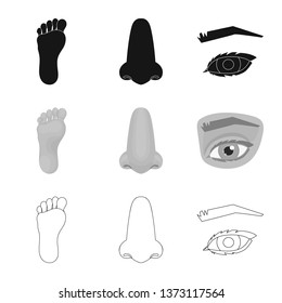 Isolated object of body and part symbol. Collection of body and anatomy vector icon for stock.