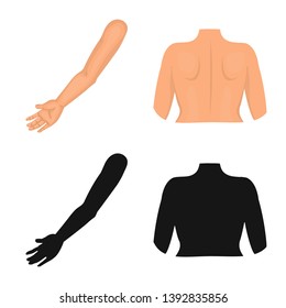 Isolated object of body and part symbol. Set of body and anatomy stock vector illustration.