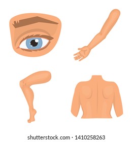 Isolated object of body and part symbol. Collection of body and anatomy stock vector illustration.