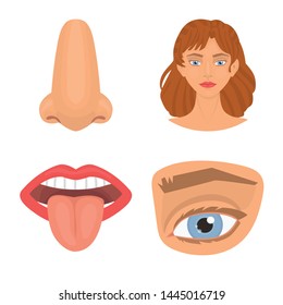 Isolated object of body and part symbol. Set of body and anatomy stock symbol for web.