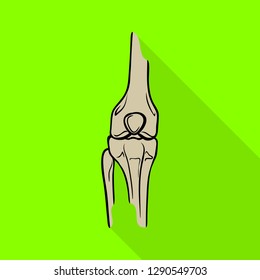 Isolated object of bone and skeleton icon. Set of bone and human vector icon for stock.
