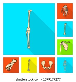 Isolated object of bone and skeleton icon. Set of bone and human stock symbol for web.