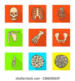 Isolated object of bone and skeleton icon. Collection of bone and human stock symbol for web.