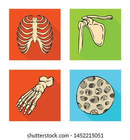 Isolated object of bone and skeleton logo. Set of bone and human stock vector illustration.