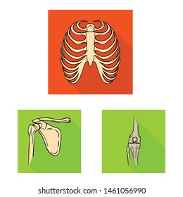 Isolated object of bone and skeleton logo. Collection of bone and human vector icon for stock.