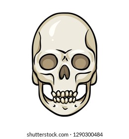 Isolated object of bone and skeleton sign. Collection of bone and human vector icon for stock.