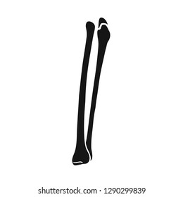 Isolated object of bone and skeleton symbol. Set of bone and human stock symbol for web.