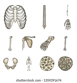 Isolated object of bone and skeleton symbol. Collection of bone and human stock vector illustration.