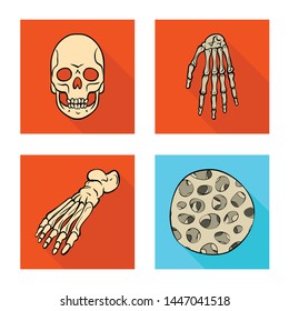 Isolated object of bone and skeleton symbol. Set of bone and human stock symbol for web.