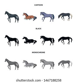 Isolated object of breed and equestrian icon. Set of breed and mare stock symbol for web.