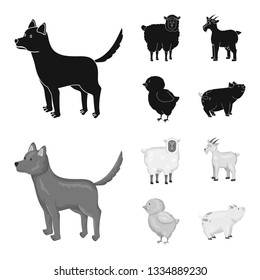 Isolated object of breeding and kitchen  icon. Set of breeding and organic  stock vector illustration.
