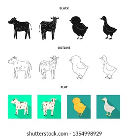 Isolated object of breeding and kitchen  icon. Set of breeding and organic  stock symbol for web.