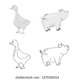 Isolated object of breeding and kitchen  icon. Set of breeding and organic  stock vector illustration.