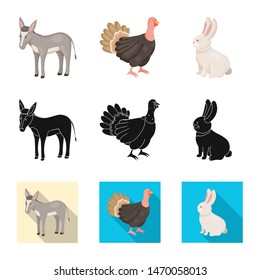 Isolated object of breeding and kitchen icon. Set of breeding and organic vector icon for stock.