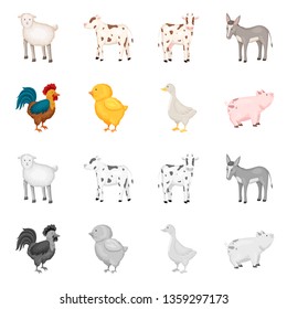 Isolated object of breeding and kitchen  logo. Set of breeding and organic  stock symbol for web.