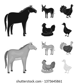 Isolated object of breeding and kitchen  logo. Collection of breeding and organic  vector icon for stock.