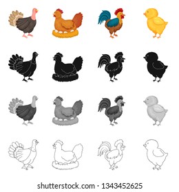 Isolated object of breeding and kitchen  sign. Set of breeding and organic  vector icon for stock.