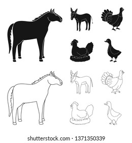 Isolated object of breeding and kitchen  sign. Set of breeding and organic  stock symbol for web.