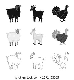 Isolated object of breeding and kitchen  sign. Collection of breeding and organic  stock vector illustration.