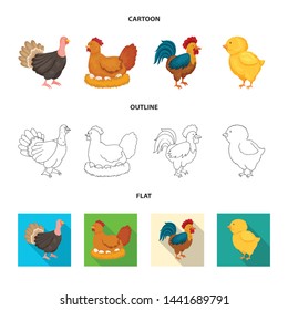 Isolated object of breeding and kitchen sign. Collection of breeding and organic stock vector illustration.