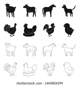 Isolated object of breeding and kitchen sign. Collection of breeding and organic vector icon for stock.