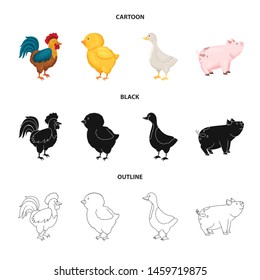 Isolated object of breeding and kitchen sign. Set of breeding and organic vector icon for stock.