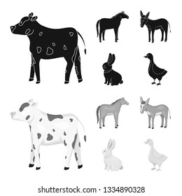 Isolated object of breeding and kitchen  symbol. Set of breeding and organic  vector icon for stock.