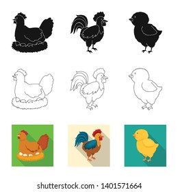 Isolated object of breeding and kitchen  symbol. Collection of breeding and organic  stock vector illustration.