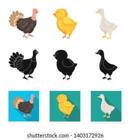 Isolated object of breeding and kitchen  symbol. Collection of breeding and organic  vector icon for stock.