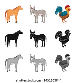 Isolated object of breeding and kitchen symbol. Collection of breeding and organic vector icon for stock.