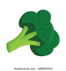Isolated object of broccoli and cabbage logo. Set of broccoli and green stock vector illustration.