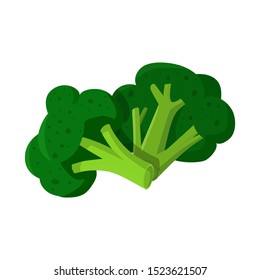 Isolated object of broccoli and cabbage logo. Web element of broccoli and doodle stock vector illustration.