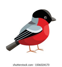 Isolated object of bullfinch and bird logo. Set of bullfinch and robin vector icon for stock.