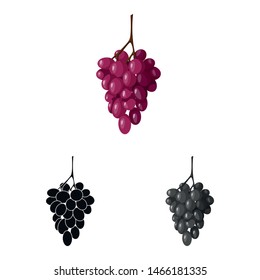 Isolated object of bunch and grape icon. Set of bunch and wine vector icon for stock.