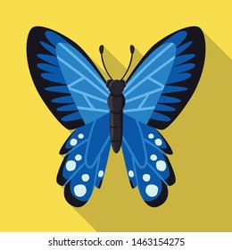 Isolated object of butterfly and blue icon. Set of butterfly and ecology stock vector illustration.