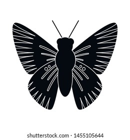 Isolated object of butterfly symbol. Collection of butterfly and species vector icon for stock.