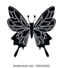 Isolated object of butterfly and wings symbol. Set of butterfly and wing vector icon for stock.