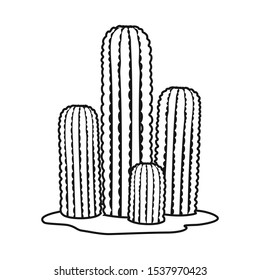 Isolated object of cactus and garden logo. Web element of cactus and botanic vector icon for stock.